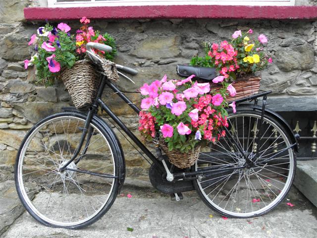 Kreatív kerti ötlet: bicikliből virágtartó