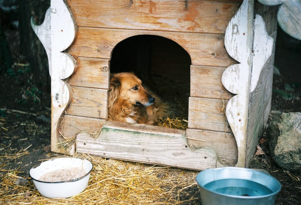 Kutyaház készítése házilag