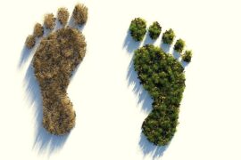 Az ökológiai lábnyom